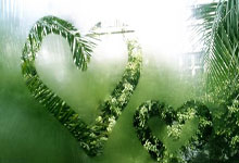 2024亚洲羽毛球精英巡回赛(陕西西安)站开赛.