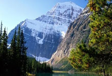 [NHL]连扳三球 红翼客场逆转狂野.