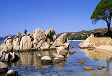 开云官方:NBA預測:獨行俠客場戰勝爵士終結三連敗.